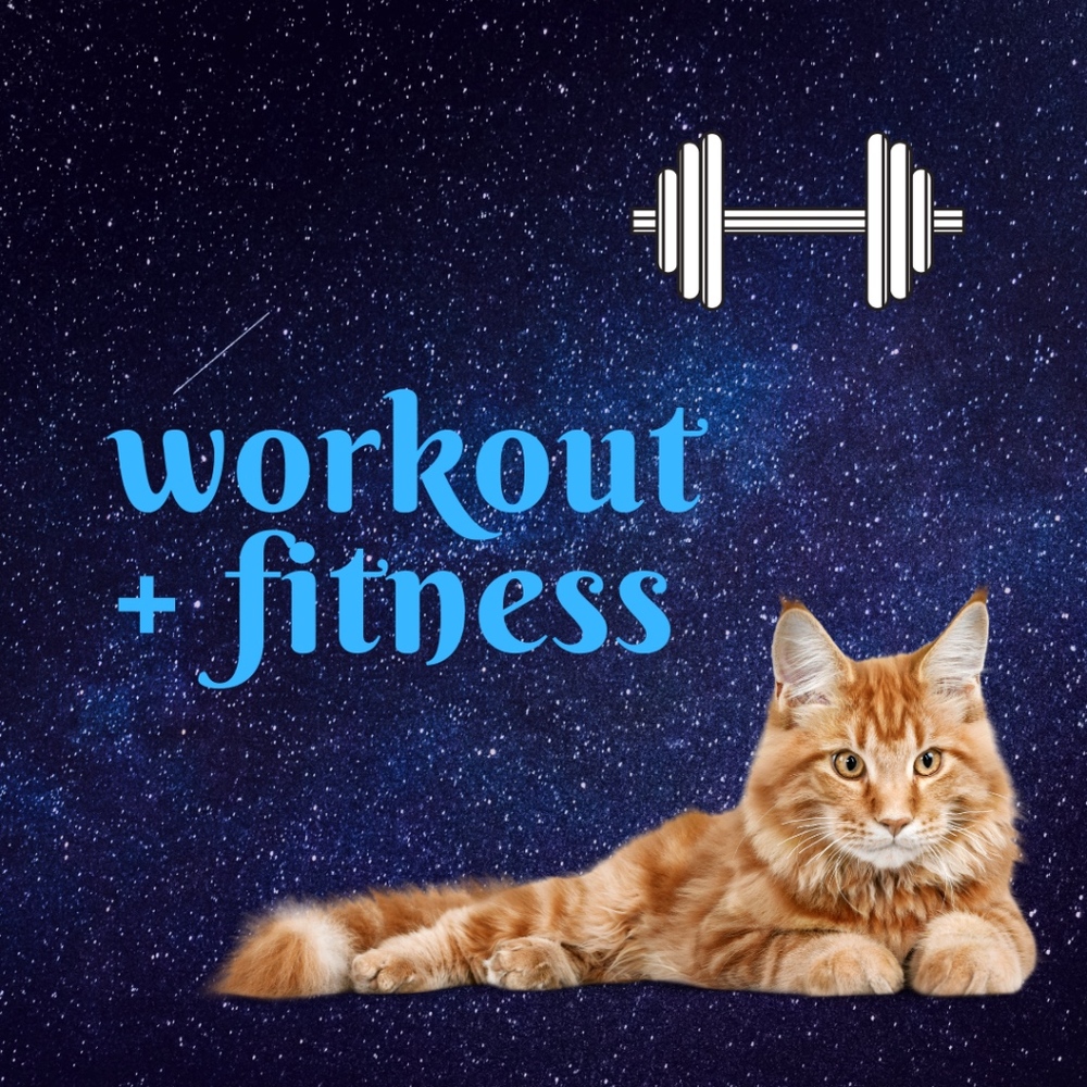 Workout & Fitness